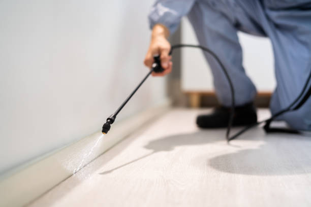 Bed Bug Pre-Treatment Preparation Assessment in Durant